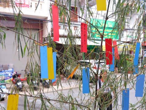 HỌC VIÊN TRUNG TÂM ĐỒNG NAI HƯỞNG ỨNG LỄ HỘI SENDAI TANABATA  🎋
