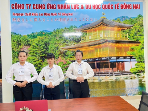 PHỎNG VẤN DU HỌC, KỸ SƯ & XKLĐ