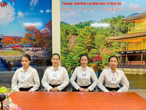 PHỎNG VẤN DU HỌC, KỸ SƯ & XKLĐ