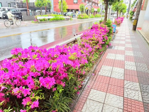 CHUYẾN ĐI GẶP GỠ ĐỐI TÁC VÀ THĂM HỌC VIÊN TRUNG TÂM ĐỒNG NAI TẠI NHẬT BẢN