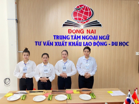 PHỎNG VẤN DU HỌC, KỸ SƯ & XKLĐ
